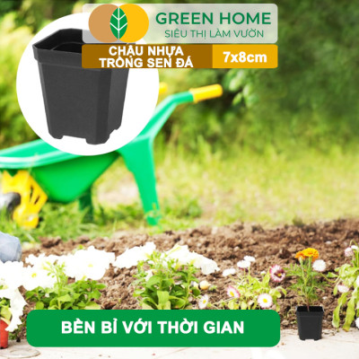 Bộ 10 Chậu Nhựa Trồng Sen Đá Greenhome, 7x8cm, Siêu Bền, Đẹp, Đa Năng, Trồng Mọi Loại Cây, Tiết Kiệm Không Gian