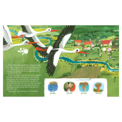 Sách cho bé - Tuli Tuli Kể Chuyện Nhà Ai Ở Đâu - Nhà Chim Trên Đồng Cỏ - Sách tranh cho bé