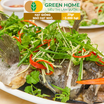 Hạt Giống Gia Vị Greenhome, Nhiều Loại, Trồng Chậu, Dễ Trồng, Chịu Nhiệt, Trồng Quanh Năm, Năng Suất